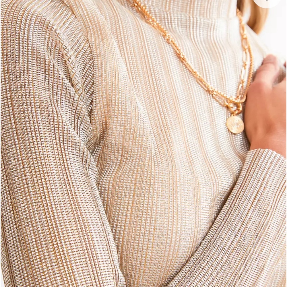 Metallic Ribbed Mesh Cropped Top - Picture 3 of 5